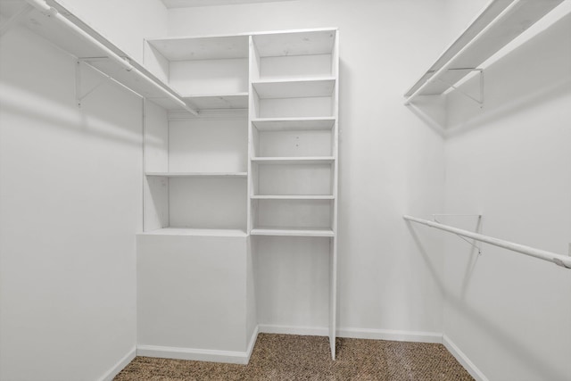 walk in closet with carpet flooring