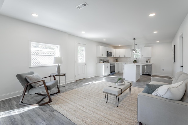 living room featuring sink and light wood-type flooring