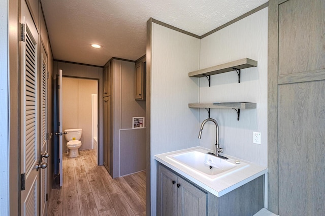 interior space with hardwood / wood-style flooring, vanity, toilet, and a textured ceiling