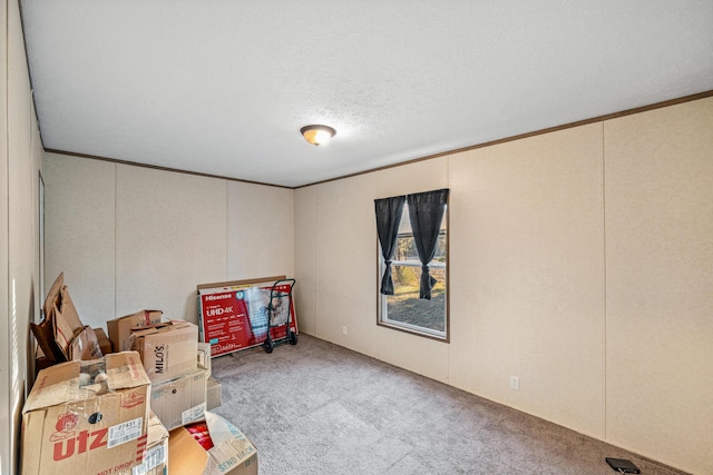 interior space featuring ornamental molding, a textured ceiling, and carpet flooring