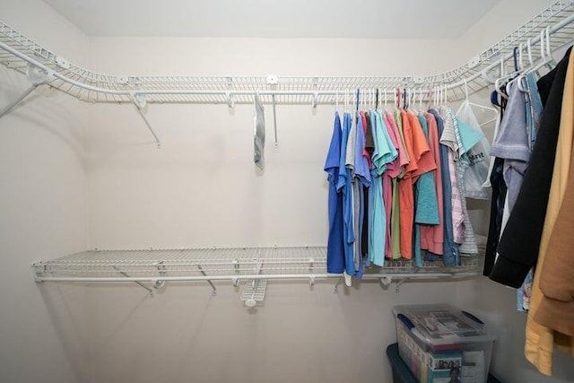 view of spacious closet