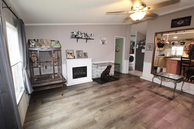 living room featuring vaulted ceiling, wood-type flooring, washer / dryer, and a wealth of natural light