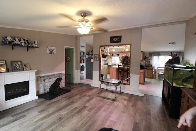 living room with hardwood / wood-style flooring, ceiling fan, ornamental molding, a textured ceiling, and washer / clothes dryer