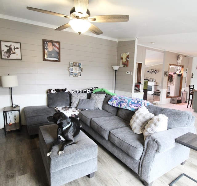 living room with hardwood / wood-style floors, ornamental molding, and ceiling fan