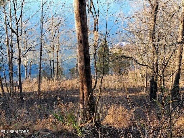 455 Clearwater Dr, Spring City TN, 37381 land for sale