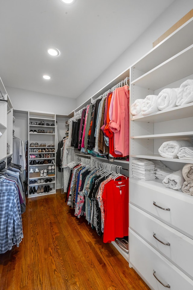 spacious closet featuring dark wood-type flooring