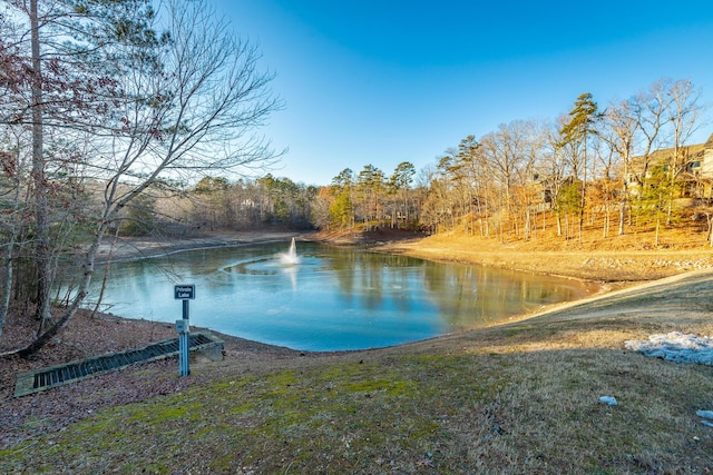 property view of water