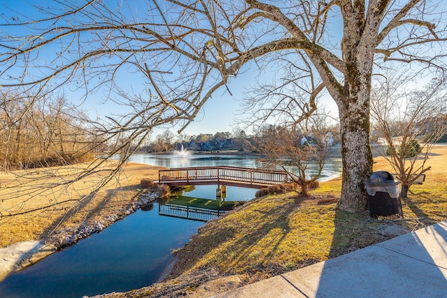 view of community featuring a water view