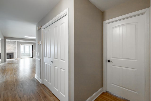 hall featuring wood-type flooring