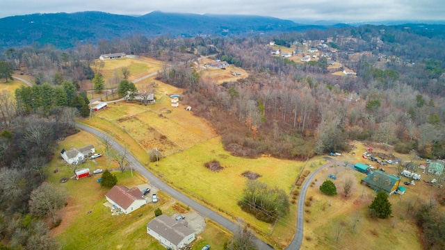 bird's eye view featuring a rural view and a mountain view