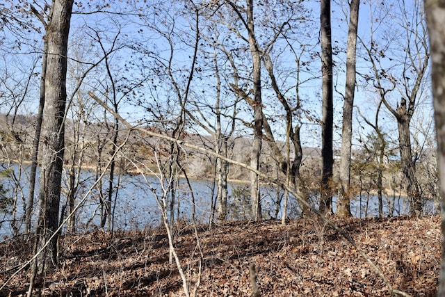 Listing photo 3 for 0 River Rd, Decatur TN 37322