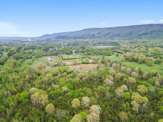 bird's eye view with a mountain view