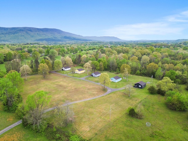 bird's eye view with a mountain view