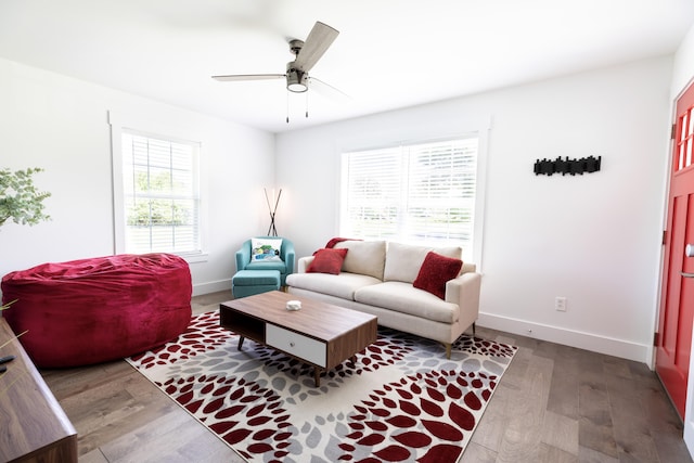 living room featuring ceiling fan and wood-type flooring