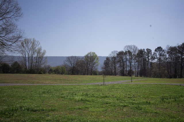 view of yard featuring a rural view