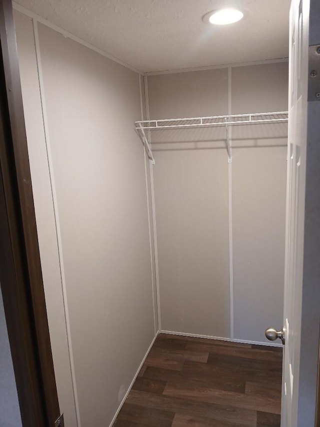 walk in closet with dark hardwood / wood-style floors