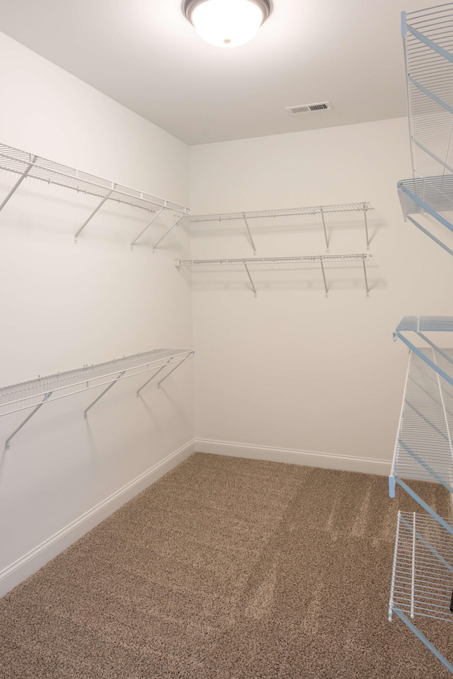 walk in closet with carpet flooring