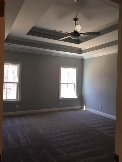 carpeted empty room with a raised ceiling, ornamental molding, and ceiling fan