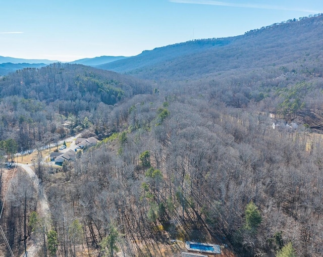 5411 Brown Chapel Ln, Chattanooga TN, 37415 land for sale