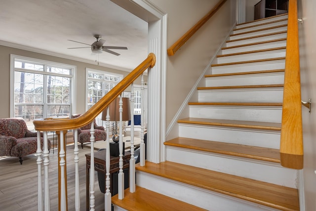 stairs featuring crown molding, ceiling fan, and hardwood / wood-style flooring