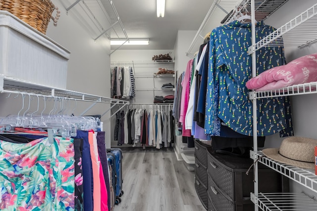 spacious closet with hardwood / wood-style floors