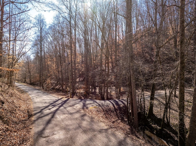 view of road