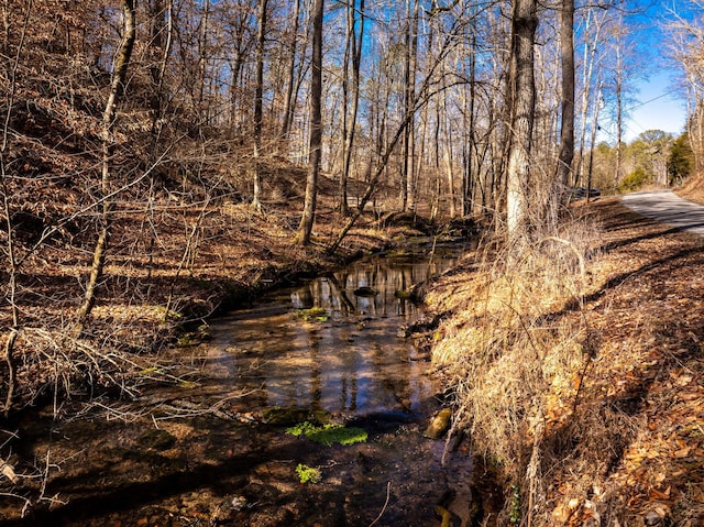 view of nature