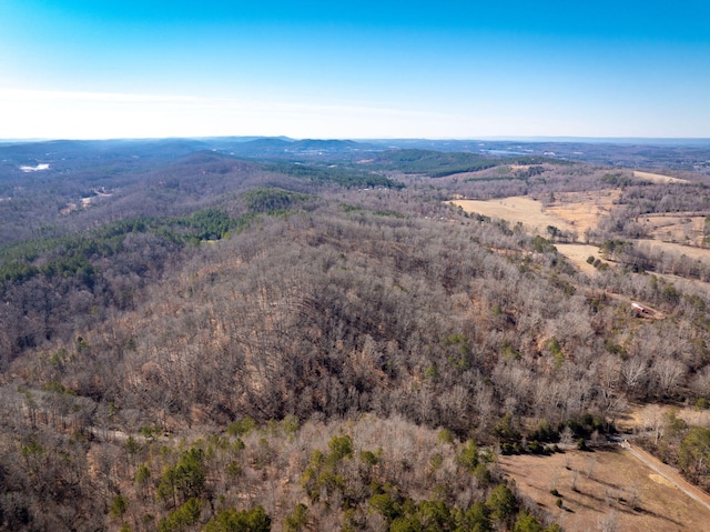 bird's eye view featuring a mountain view