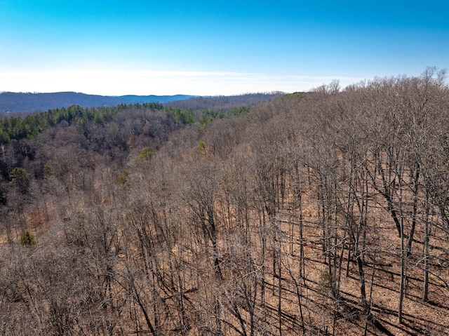 view of mountain feature