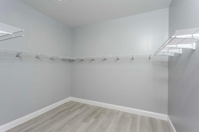 walk in closet with light wood-type flooring