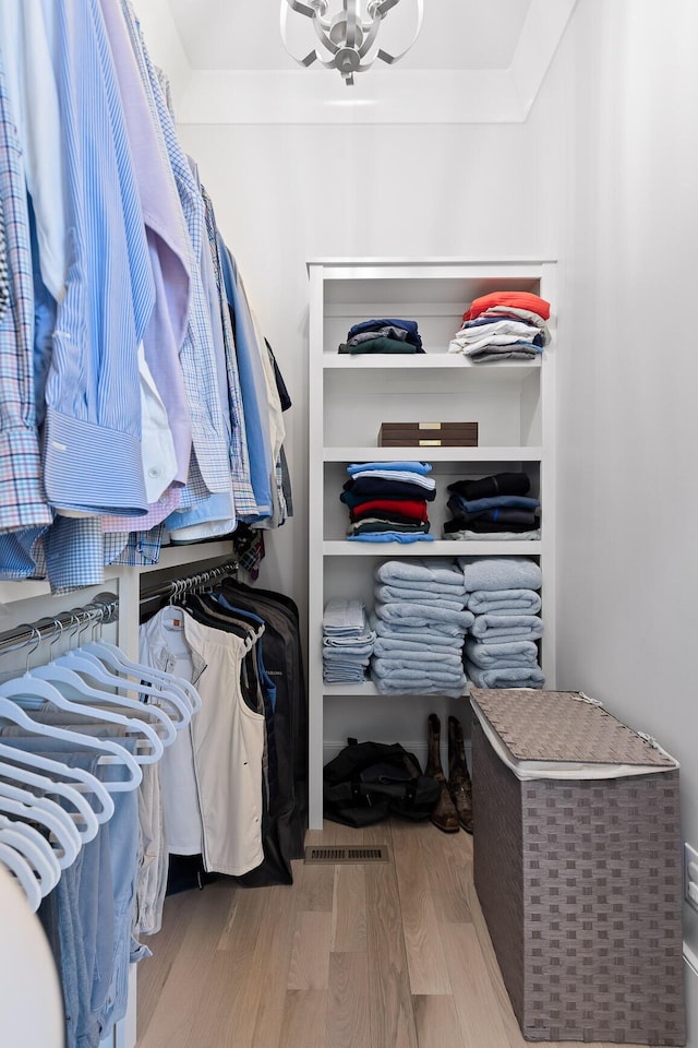 spacious closet featuring wood-type flooring