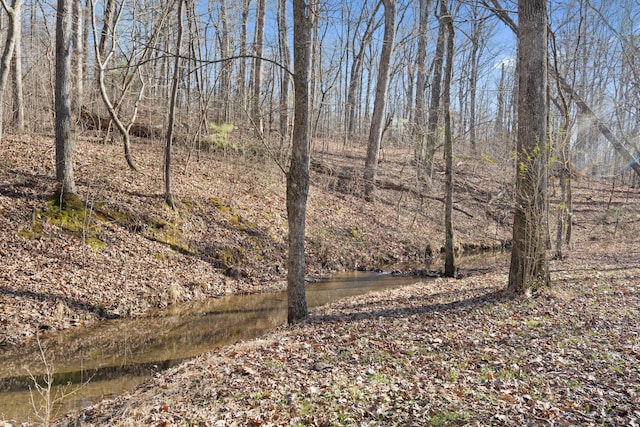 view of local wilderness