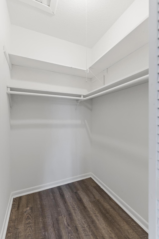 walk in closet with dark hardwood / wood-style floors