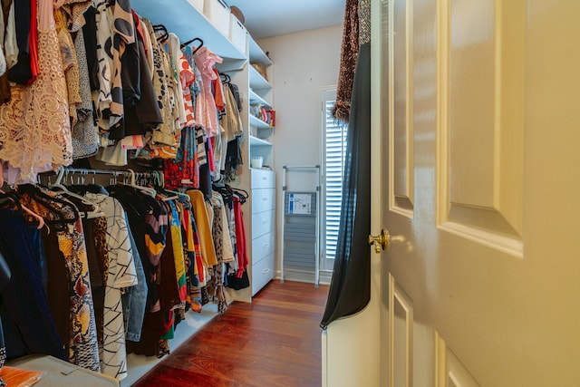 walk in closet with dark hardwood / wood-style flooring