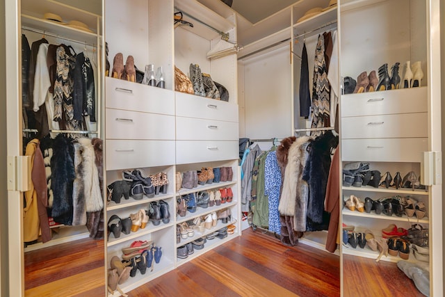 walk in closet featuring wood-type flooring