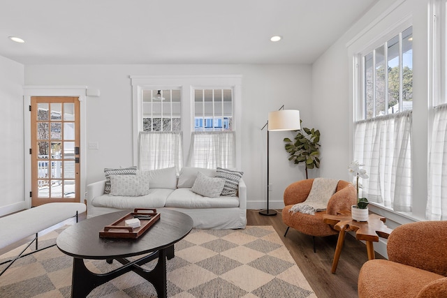 living room featuring hardwood / wood-style flooring