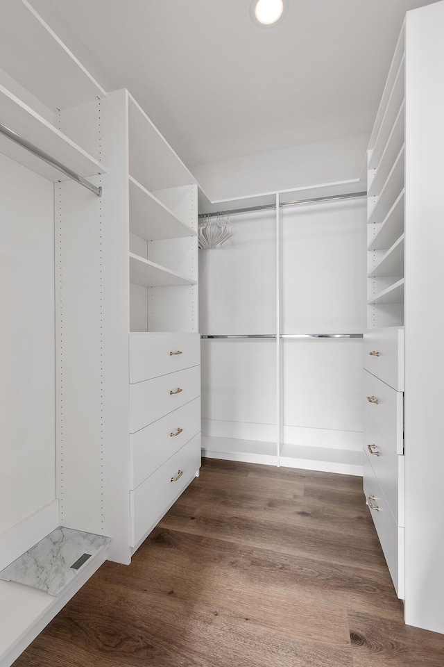 walk in closet with dark hardwood / wood-style flooring