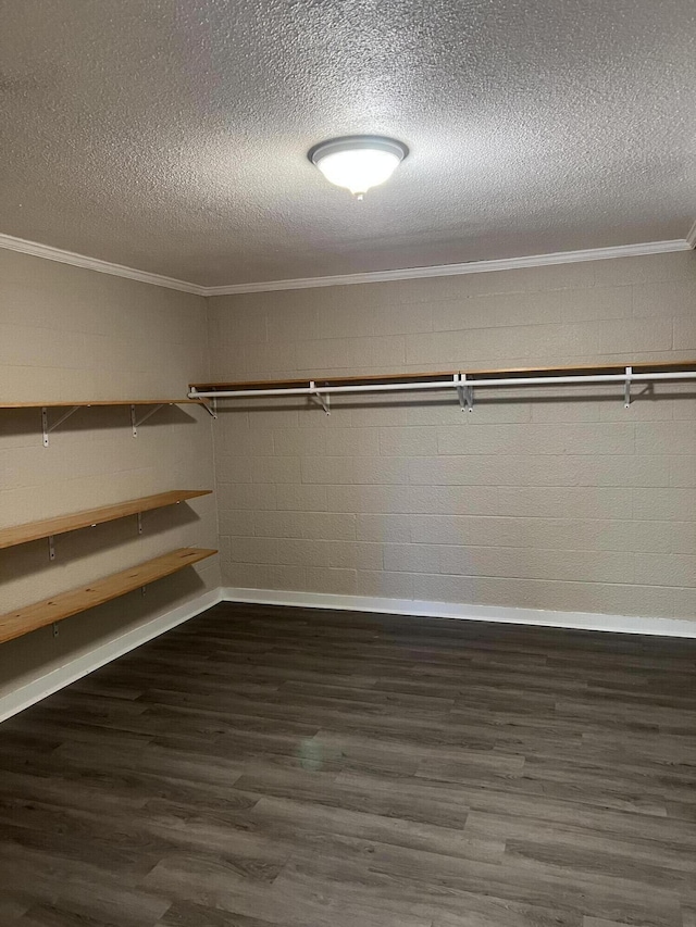 spacious closet with dark wood-type flooring