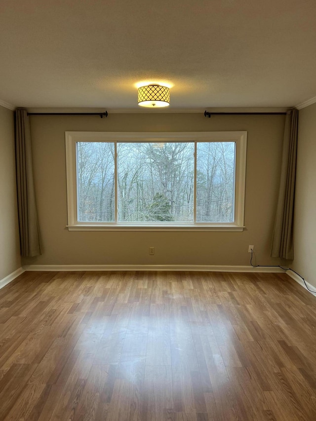 spare room featuring light wood-type flooring, plenty of natural light, and baseboards