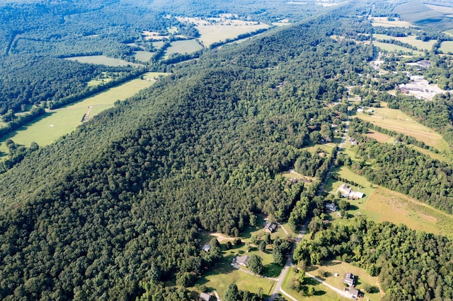 446 Jamestown Rd, Menlo, GA 30731 - bird's eye view