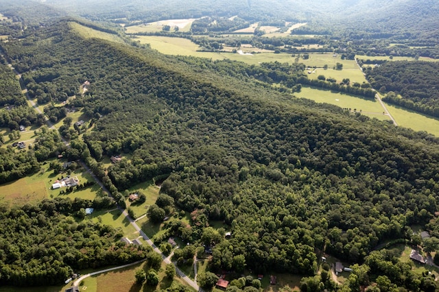 446 Jamestown Rd, Menlo, GA 30731 - birds eye view of property with a rural view