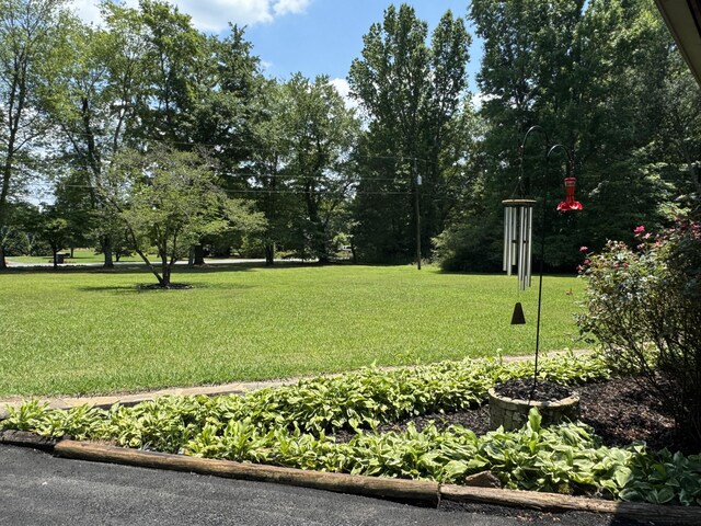 446 Jamestown Rd, Menlo, GA 30731 - view of yard