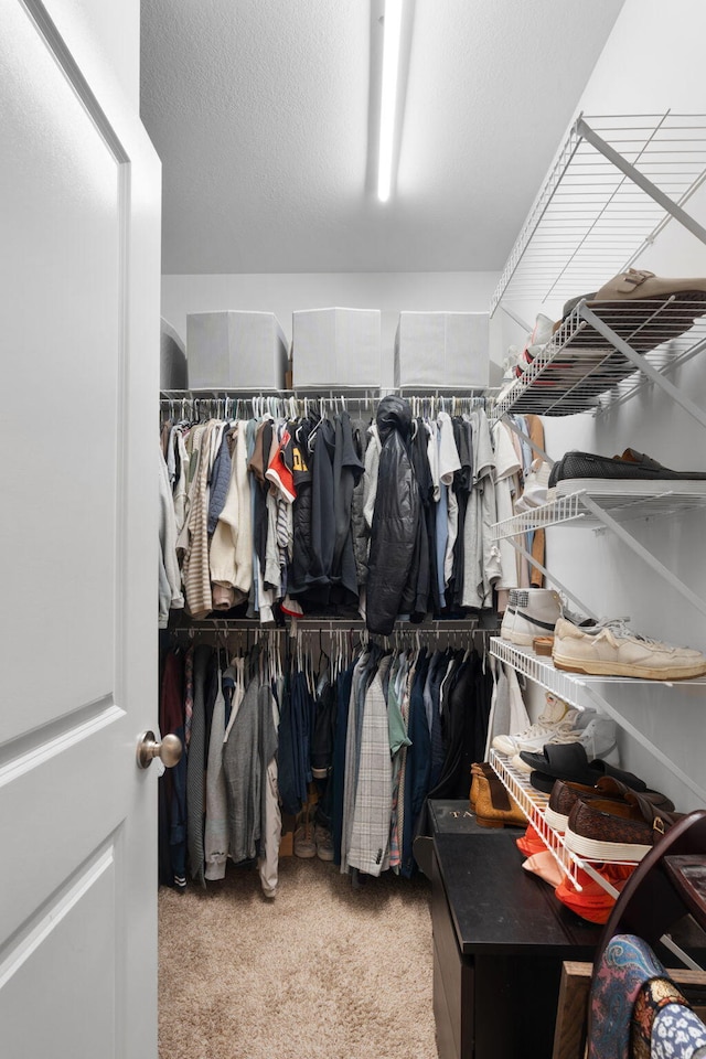 walk in closet with light colored carpet