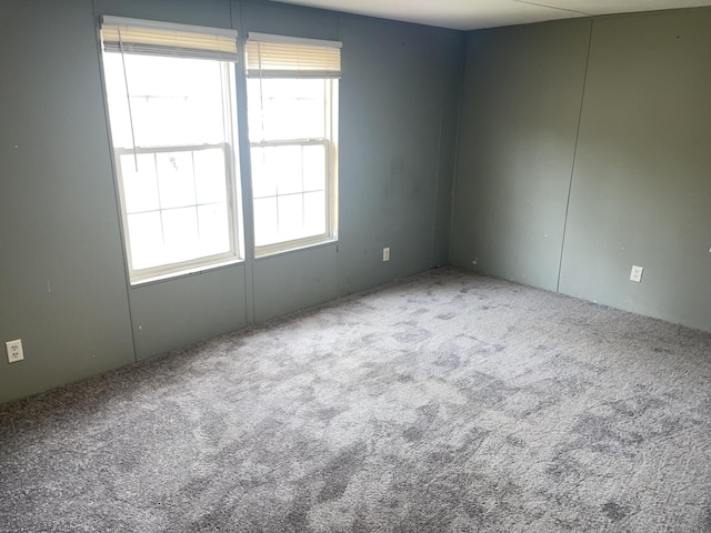 spare room with carpet floors