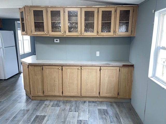 kitchen with white refrigerator, light hardwood / wood-style floors, and a wealth of natural light