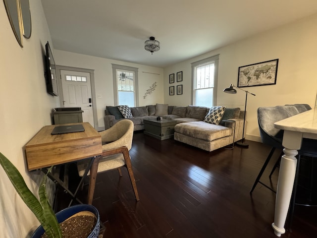 living room featuring dark hardwood / wood-style flooring