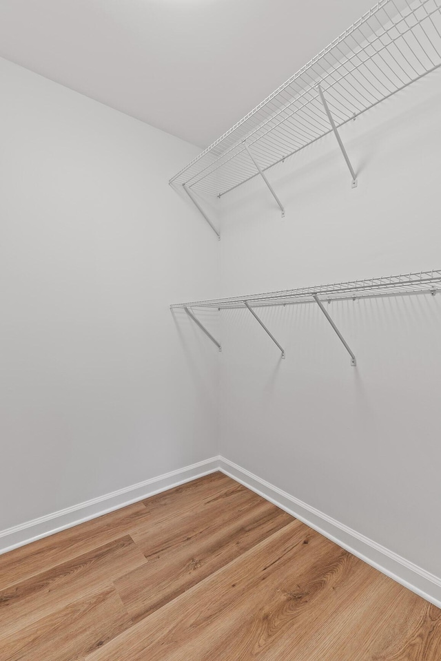 spacious closet featuring hardwood / wood-style flooring