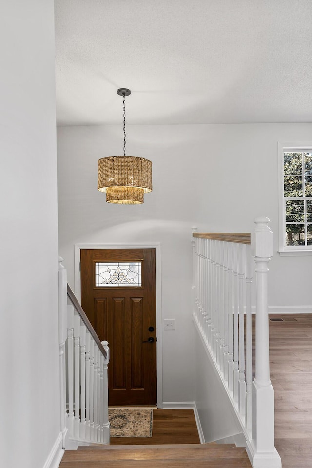 foyer entrance with hardwood / wood-style flooring