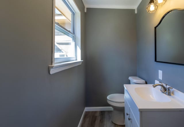 bathroom with vanity, wood-type flooring, and toilet