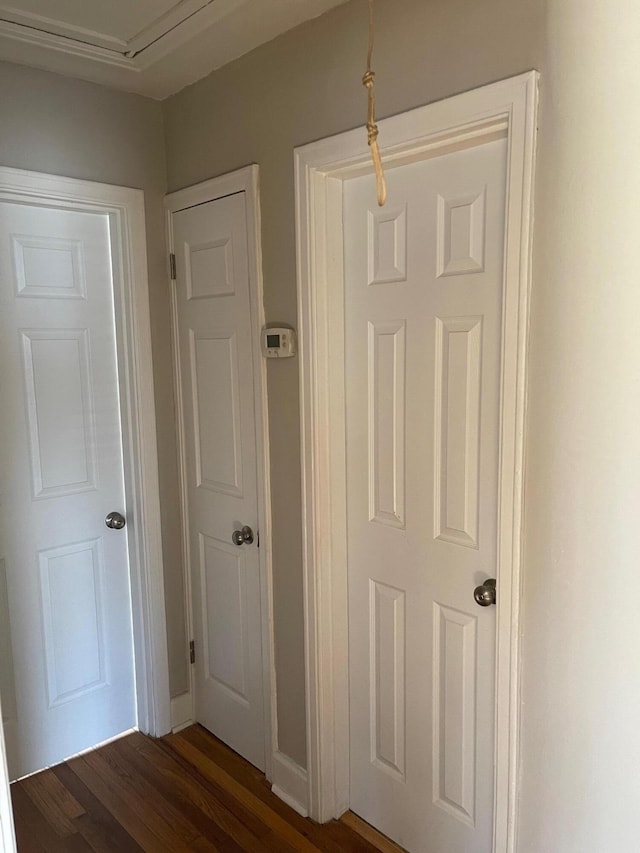 hallway featuring dark wood-type flooring